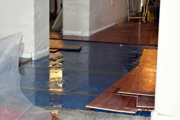 Professional Basement Flood Cleanup technician working in Newport, TN